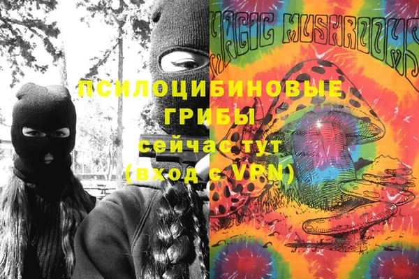твердый Алексеевка
