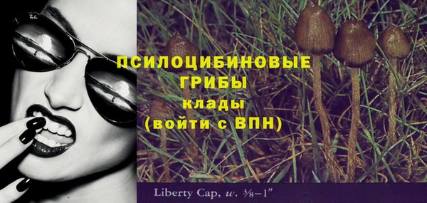спиды Алзамай