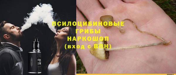 спиды Алзамай
