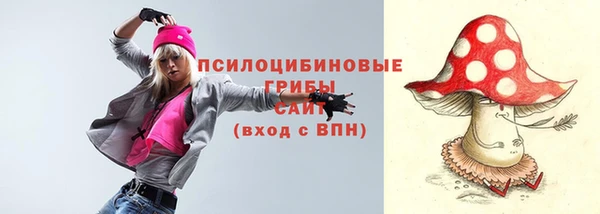mix Алексин