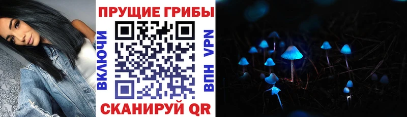 Галлюциногенные грибы MAGIC MUSHROOMS  shop состав  Ардатов 